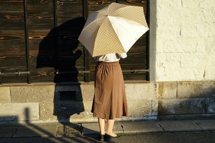 【ふるさと納税】雪華模様の折り畳み傘（サイズ55cm）カラー：ベージュ | おしゃれ 傘 かさ 折りたたみ傘 55センチ 雨具 メンズ レディース 兼用 雪の結晶 ベージュ おしゃれ かわいい 雨 梅雨 贈答 贈り物 プレゼント 父の日 母の日 ギフト お祝 ご褒美 お中元 お歳暮_BL03 サムネイル2