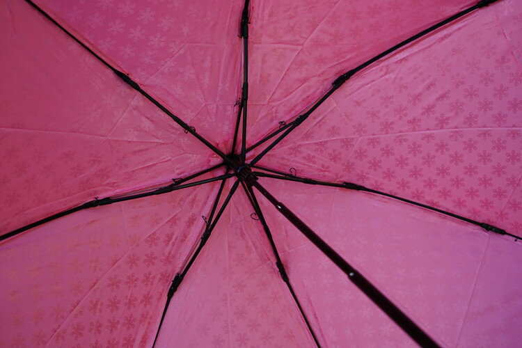 【ふるさと納税】雪華模様の折り畳み傘（サイズ55cm）カラー：ピンク | おしゃれ 傘 かさ 折りたたみ傘 55センチ 雨具 メンズ レディース 兼用 雪の結晶 ピンク おしゃれ かわいい 雨 梅雨 贈答 贈り物 プレゼント 父の日 母の日 ギフト お中元 お歳暮 お祝 ご褒美 _BL04 サムネイル3