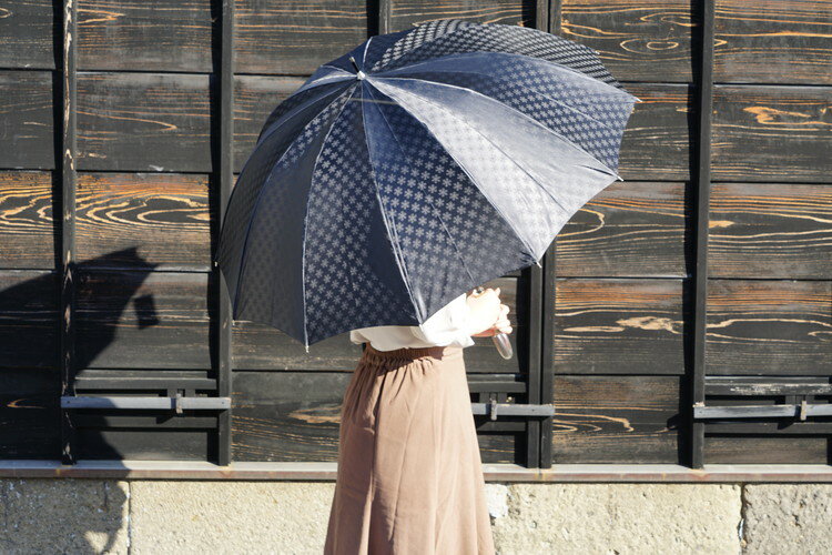 雪華模様のオリジナル傘（サイズ65cm）カラー：ブラック | 傘 かさ 65センチ 雨具 メンズ レディース 兼用 雪の結晶 ブラック 黒 おしゃれ かわいい スタイリッシュ 雨 梅雨 贈答 贈り物 プレゼント 父の日 母の日 お祝 ご褒美 お中元 お歳暮 _BL09