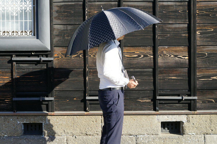 【ふるさと納税】雪華模様のオリジナル傘（サイズ65cm）カラー：ブラック | 傘 かさ 65センチ 雨具 メンズ レディース 兼用 雪の結晶 ブラック 黒 おしゃれ かわいい スタイリッシュ 雨 梅雨 贈答 贈り物 プレゼント 父の日 母の日 お祝 ご褒美 お中元 お歳暮 _BL09 サムネイル3