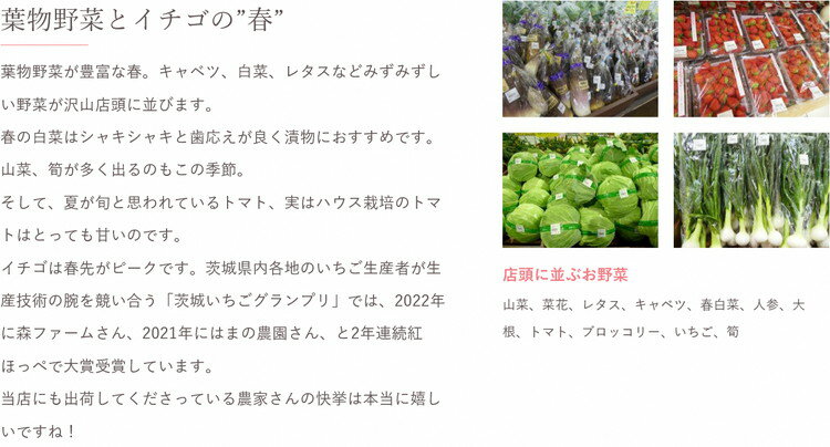 【ふるさと納税】【定期便3か月】道の駅まくらがの里古河　季節の新鮮野菜おまかせBセット ※北海道・沖縄・離島への配送不可 | 野菜 詰合せ 詰め合わせ セット アソート 新鮮 道の駅 人気 ギフト 贈答 贈り物 プレゼント お中元 お歳暮 茨城県 古河市 直送 農家直送 _BQ06 - 画像3