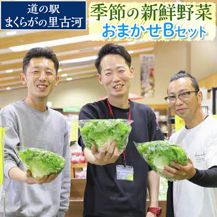 道の駅まくらがの里古河　季節の新鮮野菜おまかせBセット ※北海道・沖縄・離島への配送不可 | 野菜 詰合せ 詰め合わせ セット アソート 新鮮 道の駅 人気 ギフト 贈答 贈り物 プレゼント お中元 お歳暮 茨城県 古河市 直送 農家直送 _BQ04