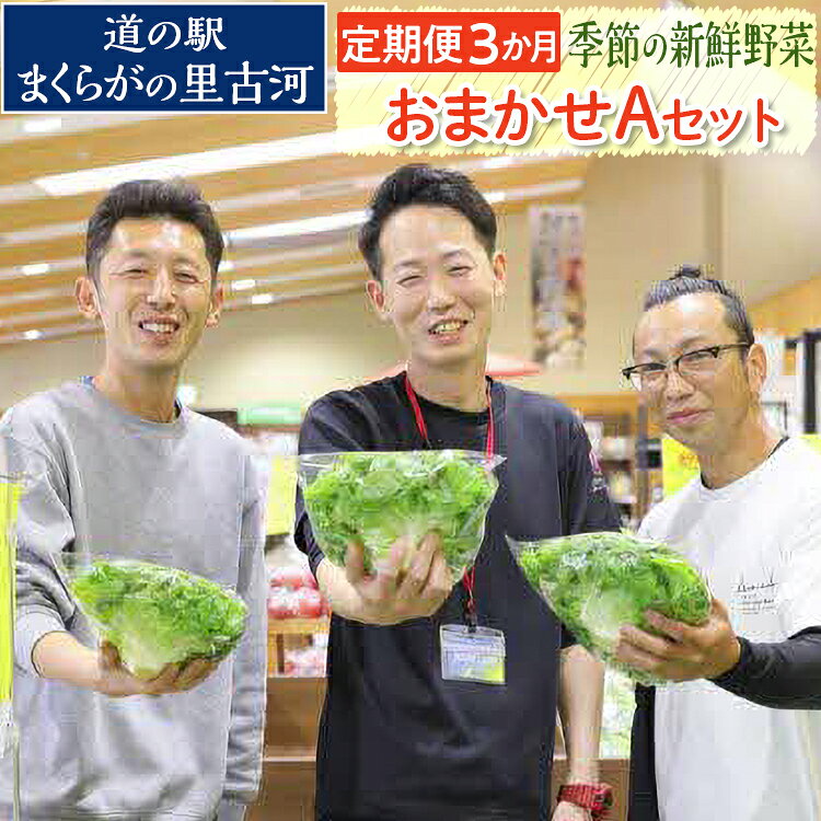 【定期便3か月】道の駅まくらがの里古河　季節の新鮮野菜おまかせAセット ※北海道・沖縄・離島への配送不可 | 野菜 詰合せ 詰め合わせ セット アソート 新鮮 道の駅 人気 ギフト 贈答 贈り物 プレゼント お中元 お歳暮 茨城県 古河市 直送 _BQ05