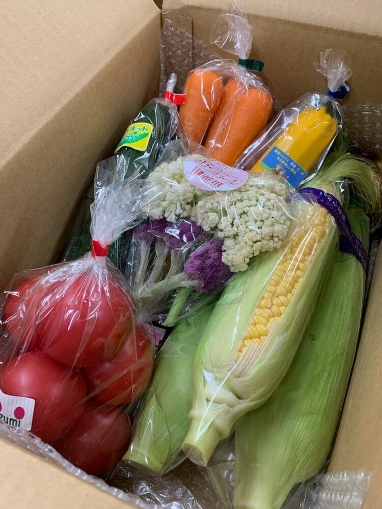 【ふるさと納税】【定期便6か月】道の駅まくらがの里古河　季節の新鮮野菜おまかせBセット ※北海道・沖縄・離島への配送不可 | 野菜 詰合せ 詰め合わせ セット アソート 新鮮 道の駅 人気 ギフト 贈答 贈り物 プレゼント お中元 お歳暮 茨城県 古河市 直送 産地直送 _BQ08 - 画像2