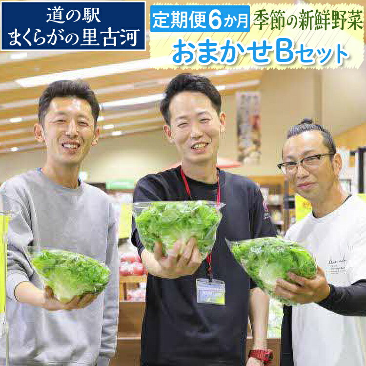 【定期便6か月】道の駅まくらがの里古河　季節の新鮮野菜おまかせBセット ※北海道・沖縄・離島への配送不可 | 野菜 詰合せ 詰め合わせ セット アソート 新鮮 道の駅 人気 ギフト 贈答 贈り物 プレゼント お中元 お歳暮 茨城県 古河市 直送 産地直送 _BQ08