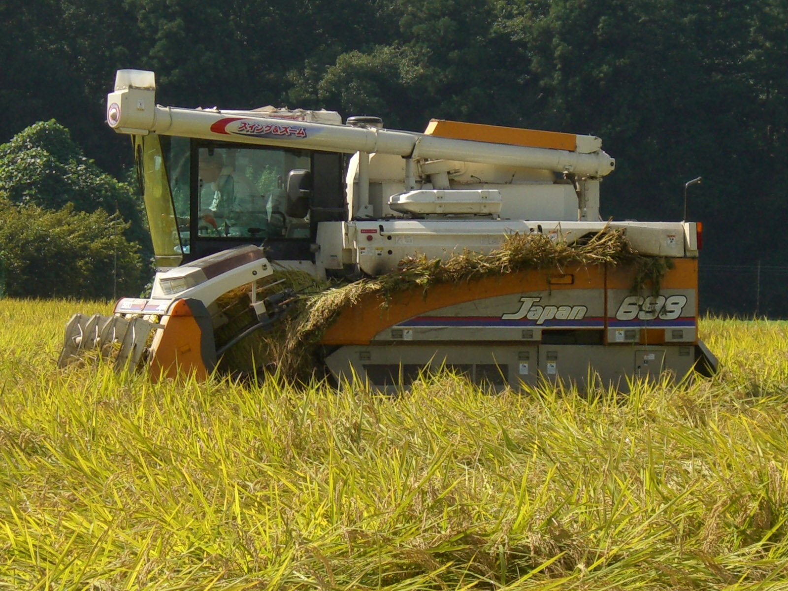 【ふるさと納税】【令和7年産】古河市産 コシヒカリ30kg玄米【小久保農園】ふるさと納税 米 茨城県_AS09 - 画像2