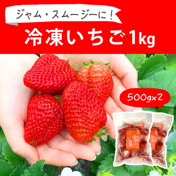 摘みたて！便利な小分け！冷凍いちご1kg(500g×2)｜いちご 苺 イチゴ 1キロ 冷凍 フルーツ 小分け おいしい ジャム スムージー かき氷 いばらキッス 紅ほっぺ よつぼし 恋みのり 贈答 贈り物 プレゼント 茨城県 古河市 直送 農家直送 産地直送 送料無料_BI08