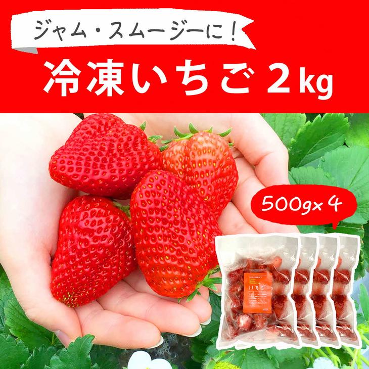 摘みたて！便利な小分け！冷凍いちご2kg(500g×4)｜いちご 苺 イチゴ 2キロ 冷凍 フルーツ 小分け おいしい ジャム スムージー かき氷 いばらキッス 紅ほっぺ よつぼし 恋みのり 贈答 贈り物 プレゼント 茨城県 古河市 直送 農家直送 産地直送 送料無料_BI09