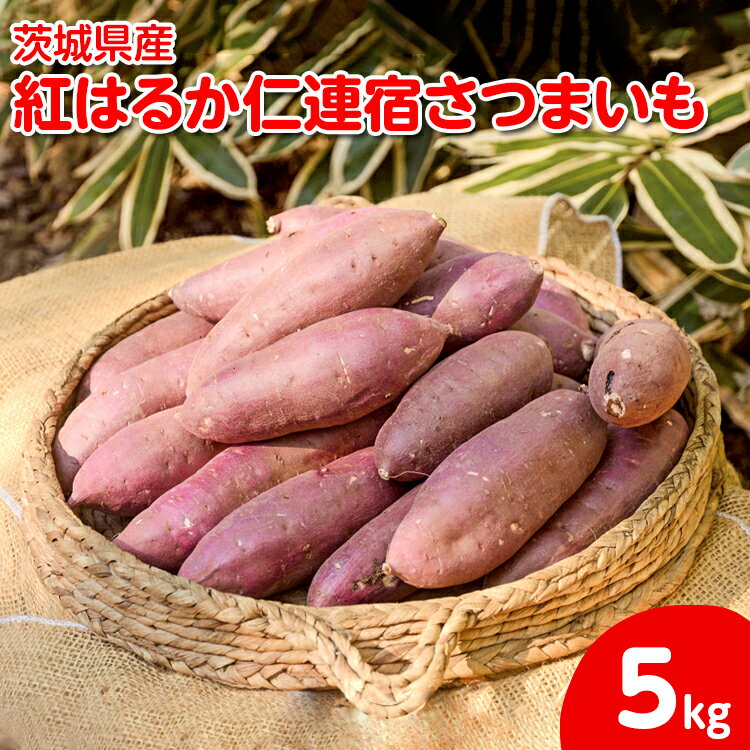 【2025年12月より順次発送】【サイズミックス】茨城県産紅はるか仁連宿さつまいも5kg ｜ さつまいも 薩摩芋 いも 芋 野菜 健康 ヘルシー おやつ スイーツ 食物繊維 生芋 生いも 国産 ギフト 贈答 贈り物 プレゼント 農家直送 産地直送 茨城県 古河市 _FP01