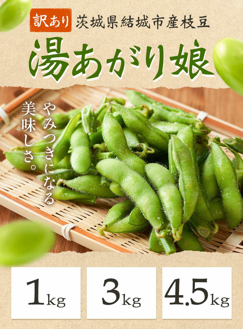 【ふるさと納税】 訳あり 枝豆 先行予約 えだまめ 「湯あがり娘」1kg 3kg 4.5kg （茶豆味） 茨城県結城市産 有限会社大嶋農園 《2026年7月中旬-8月上旬頃出荷》 野菜 国産 甘み 香り 濃厚 つまみ ビールのおつまみ ビールのつまみ 【配送不可地域あり】 - 画像2