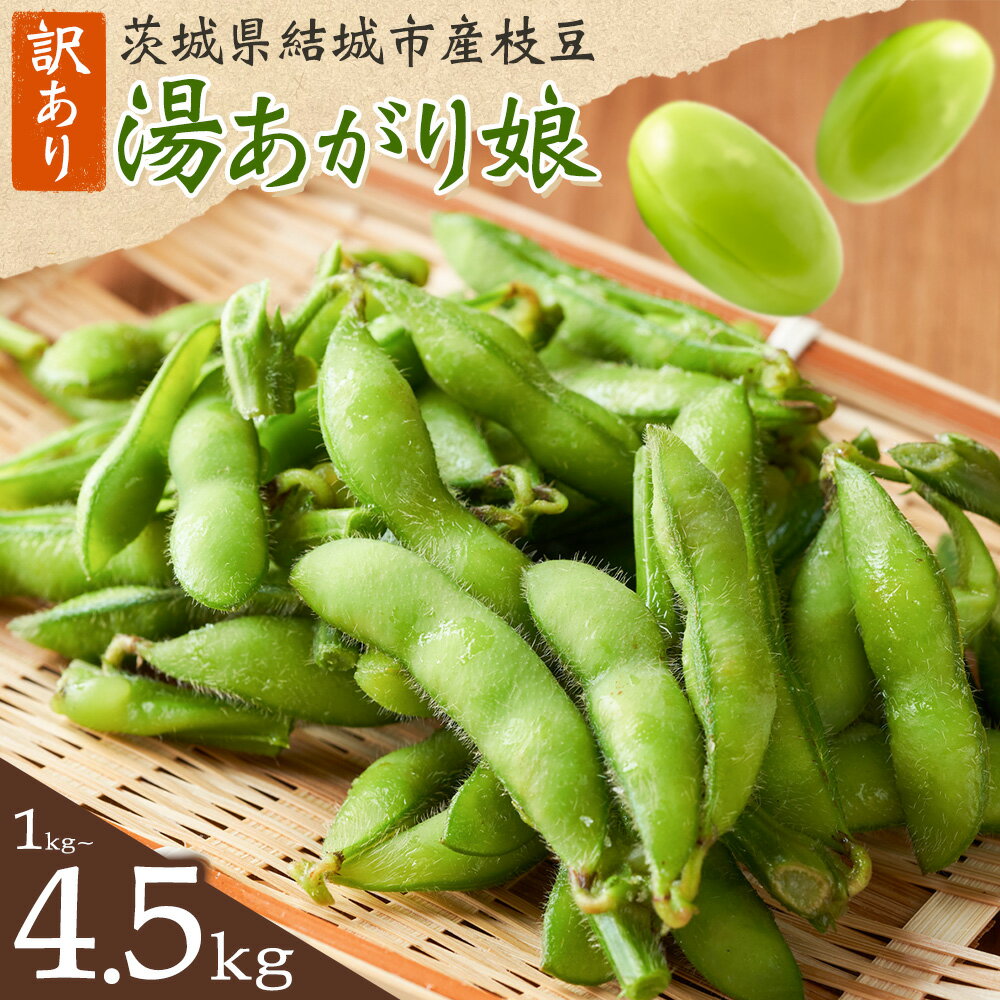 訳あり 枝豆 先行予約 えだまめ 「湯あがり娘」1kg 3kg 4.5kg （茶豆味） 茨城県結城市産 有限会社大嶋農園 《2026年7月中旬-8月上旬頃出荷》 野菜 国産 甘み 香り 濃厚 つまみ ビールのおつまみ ビールのつまみ 【配送不可地域あり】