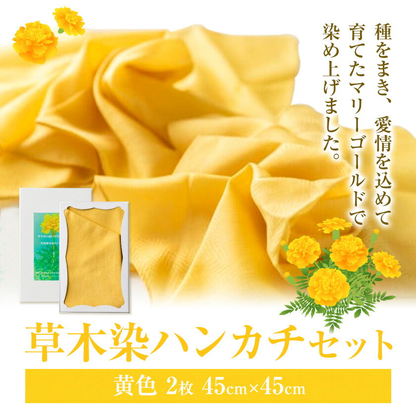 【ふるさと納税】草木染 ハンカチ 2枚 セット 黄×2 結城市社会福祉協議会 障害者福祉センター 《30日以内に出荷予定(土日祝除く)》ファッション 小物 天然草木染 オリジナル マリーゴールド ハンカチ イエロー サムネイル2