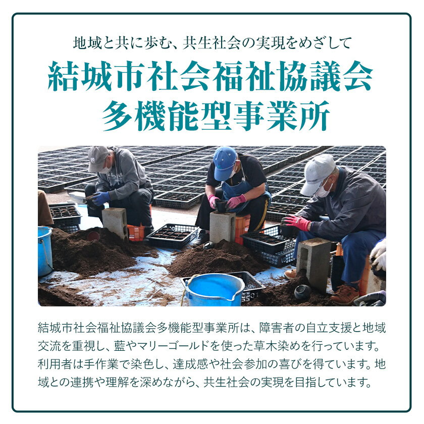 【ふるさと納税】草木染 ハンカチ 2枚 セット 黄×2 結城市社会福祉協議会 障害者福祉センター 《30日以内に出荷予定(土日祝除く)》ファッション 小物 天然草木染 オリジナル マリーゴールド ハンカチ イエロー サムネイル3