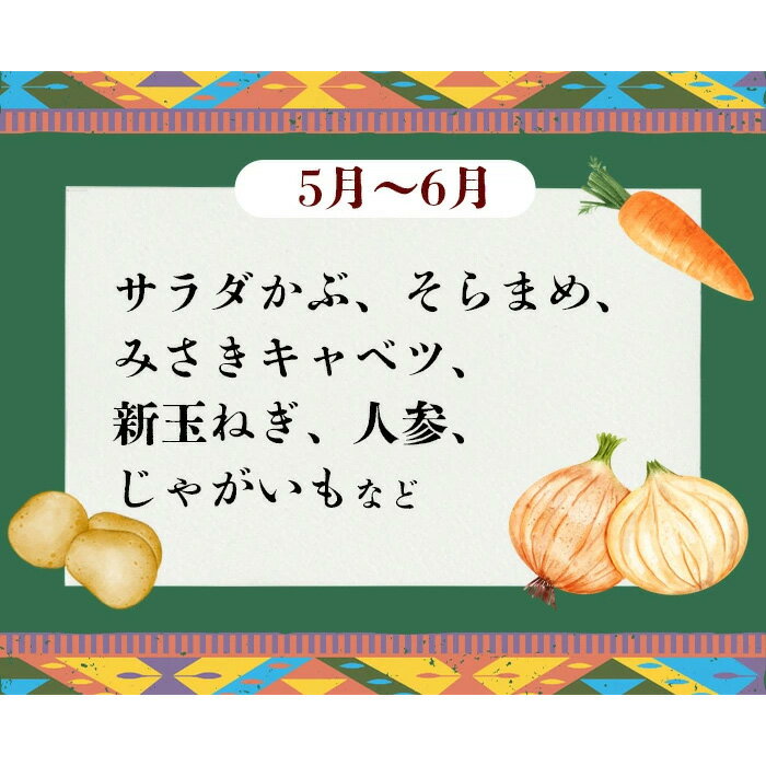 【ふるさと納税】【 選べる お届け回数 】【 訳あり 】お楽しみ野菜セット （ 9袋 ）【 フードロス対策 】【 定期便 野菜 詰め合わせ お任せ 訳あり フードロス 季節物 セット 山芋 パセリ かぶ 人参 里芋 たまねぎ 玉ねぎ ルッコラ ほうれん草 春菊 大根 パチャママ 】 - 画像2
