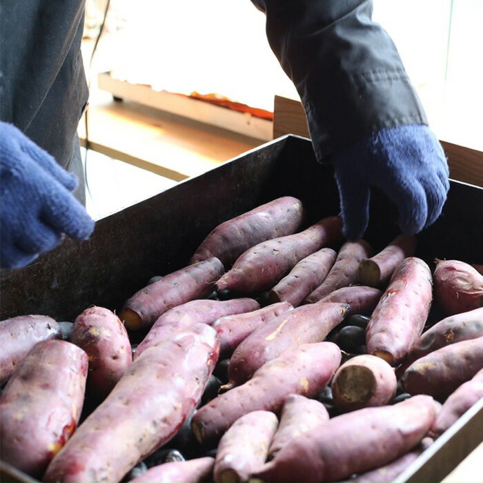 【ふるさと納税】茨城県産 冷やし焼き芋 約1.1kg(380g×3パック)【焼き芋 冷やし焼き芋 芋 スイーツ さつまいも シルクスイート 紅はるか おまかせ】 - 画像2