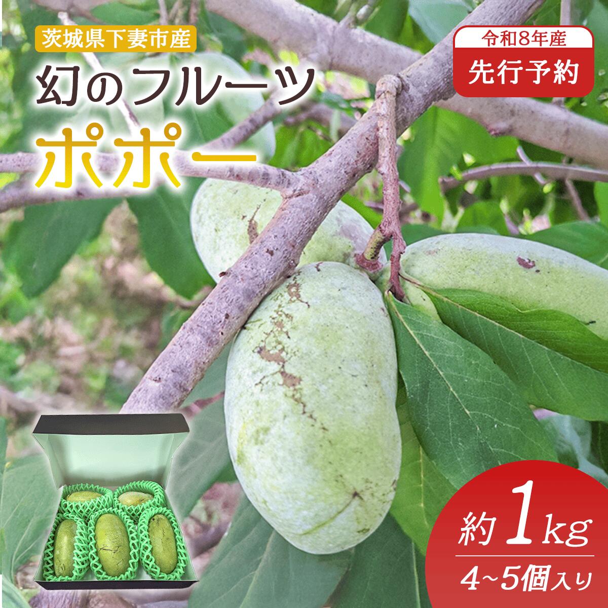 ポポー 約1kg 4～5個 果物 フルーツ 果実 幻の果物 幻のフルーツ スイーツ 甘い 森のカスタードクリーム クリーミー 【先行予約】 幻のフルーツ ポポー 約1kg 4~5個【 2026年8月下旬 ～ 9月中旬発送予定 】