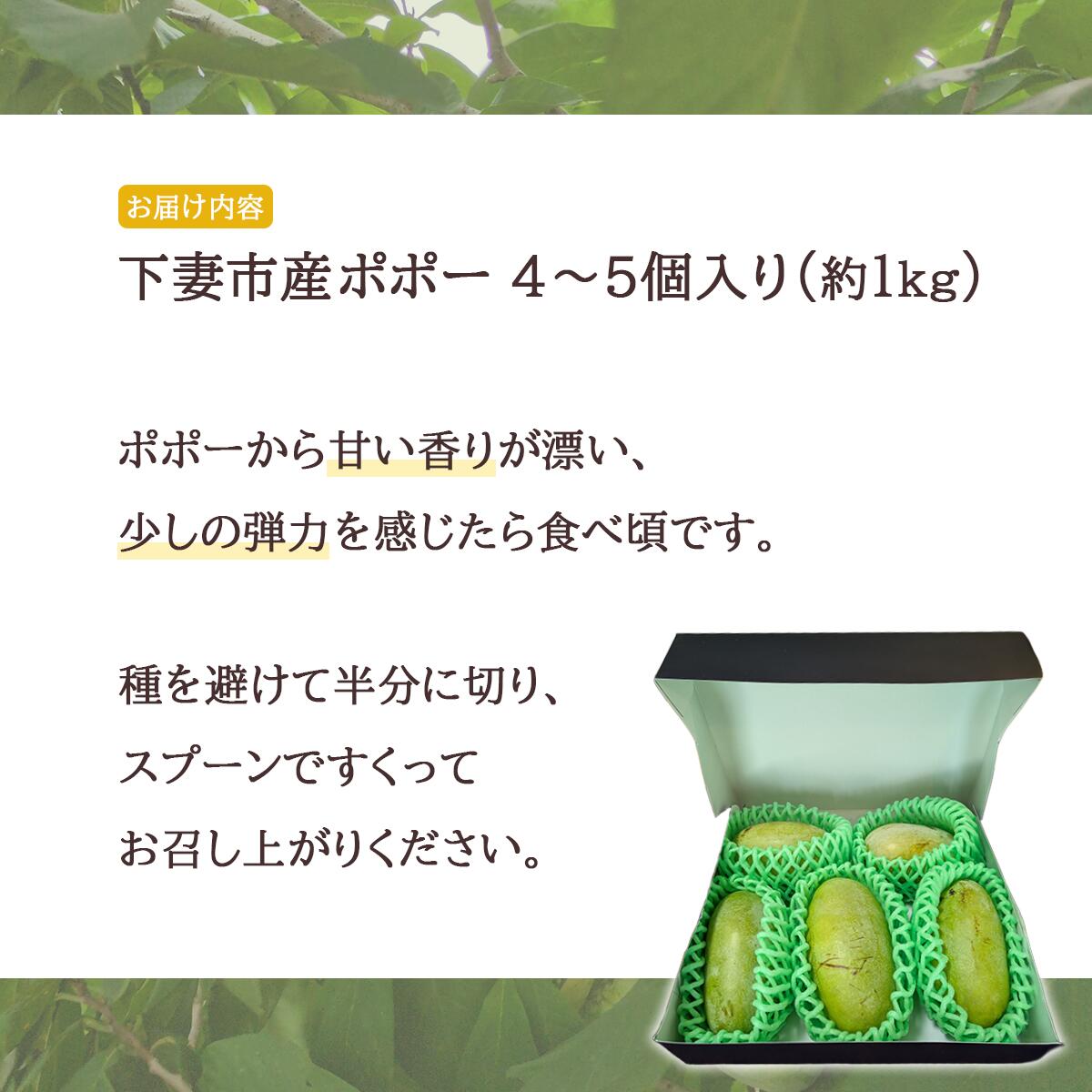 【ふるさと納税】ポポー 約1kg 4～5個 果物 フルーツ 果実 幻の果物 幻のフルーツ スイーツ 甘い 森のカスタードクリーム クリーミー 【先行予約】 幻のフルーツ ポポー 約1kg 4~5個【 2026年8月下旬 ～ 9月中旬発送予定 】 サムネイル3