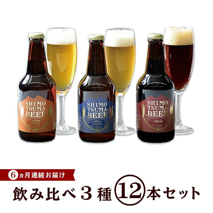 ビール 定期便 14-10【6ヵ月連続お届け】しもつまクラフトビール12本セット