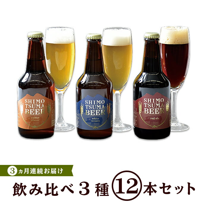 ビール 定期便 14-9【3ヵ月連続お届け】しもつまクラフトビール12本セット