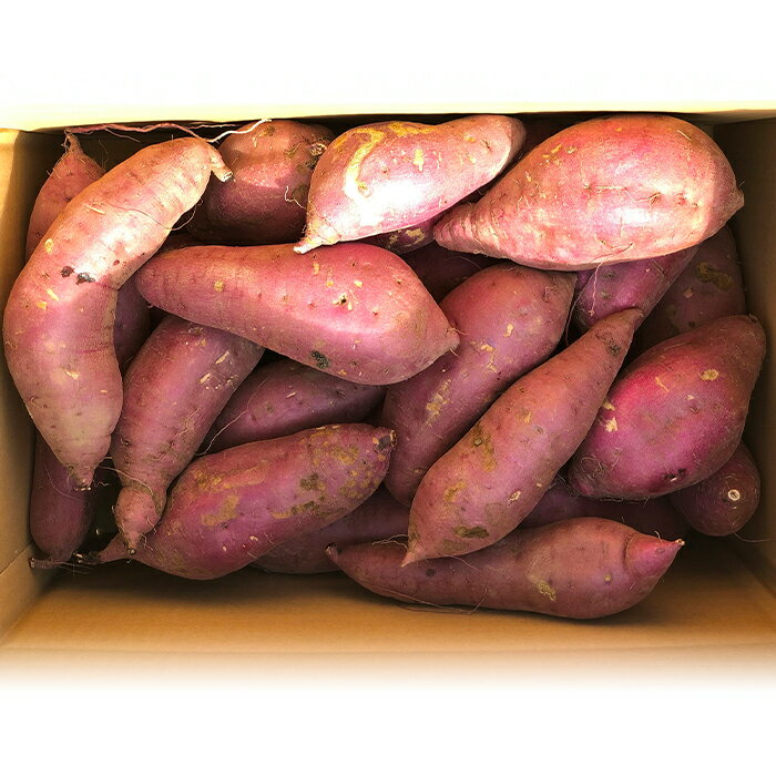 【ふるさと納税】【先行予約】【訳あり】茨城県産熟成さつまいも「紅はるか」5kg~10kg【2026年11月下旬頃～2027年2月末までに出荷予定】【さつまいも 紅はるか 芋 サツマイモ 甘い 焼き芋 スイートポテト 茨城県産 大容量 不揃い ねっとり】 - 画像2