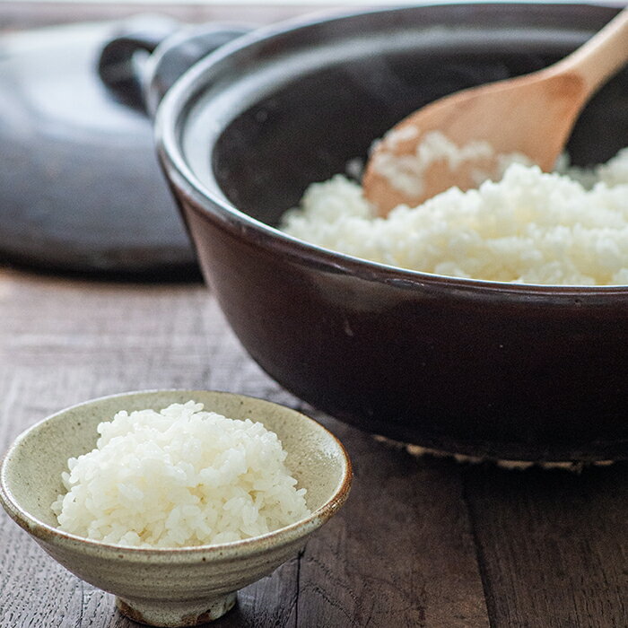 【ふるさと納税】令和7年産 にじのきらめき 10kg ( 5kg × 2袋 )【茨城県下妻市産】【米 お米 白米 にじのきらめき 10kg ご飯 こめ 甘い お米 真空パック 茨城県産 令和7年産】 - 画像3