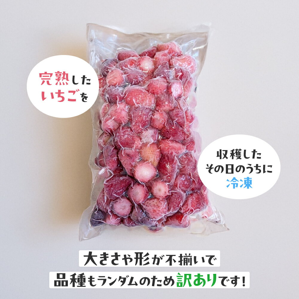 【ふるさと納税】【訳あり】冷凍いちご 1kg〜3kg いちごイチゴ 苺 冷凍 シェイク スムージー 冷たい グランベリー大地 茨城県 常総市 年末年始 お中元 お歳暮 内祝い 快気祝い サムネイル2