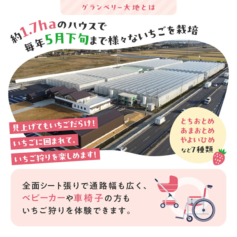【ふるさと納税】【訳あり】冷凍いちご 1kg〜3kg いちごイチゴ 苺 冷凍 シェイク スムージー 冷たい グランベリー大地 茨城県 常総市 年末年始 お中元 お歳暮 内祝い 快気祝い サムネイル3