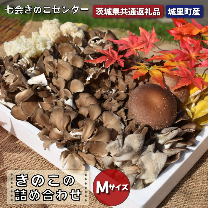 きのこの詰め合わせ　 Mサイズ（茨城県共通返礼品・城里町産） きのこ セット 詰め合わせ はなびら茸 幻のキノコ 七会きのこ生産組合 茨城県 高萩市