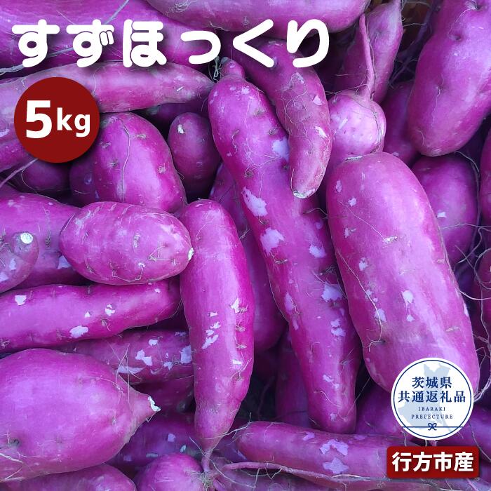 さつまいも「すずほっくり」約5kg (2025年産)（茨城県共通返礼品・行方市産）