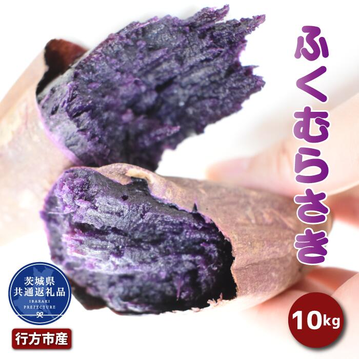 さつまいも「ふくむらさき」約10kg (2025年産)（茨城県共通返礼品・行方市産）
