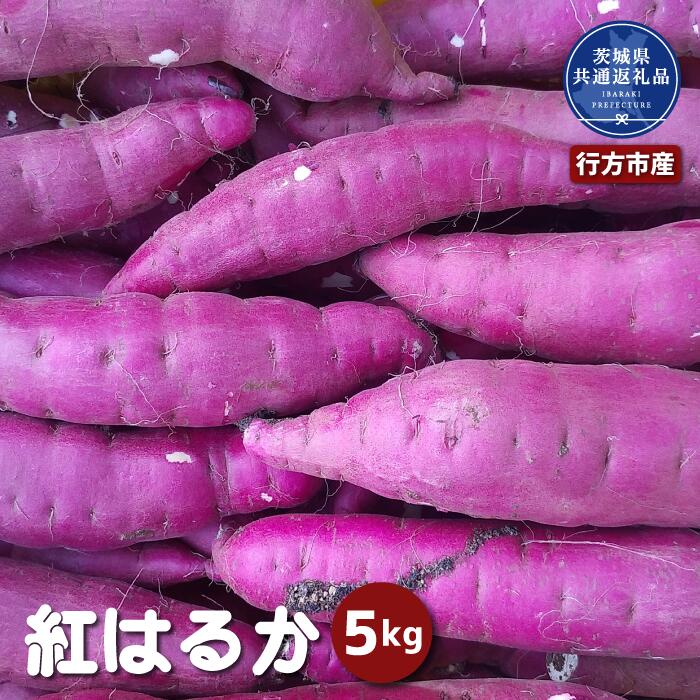 さつまいも「紅はるか」約5kg (2025年産)（茨城県共通返礼品・行方市産）
