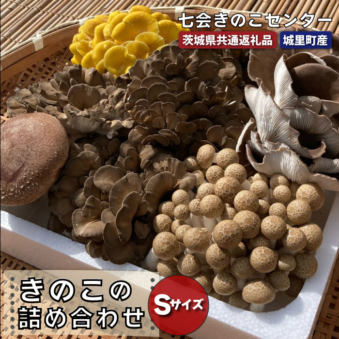 きのこの詰め合わせSサイズ（茨城県共通返礼品・城里町産） きのこ セット 詰め合わせ はなびら茸 幻のキノコ 七会きのこ生産組合 茨城県 高萩市