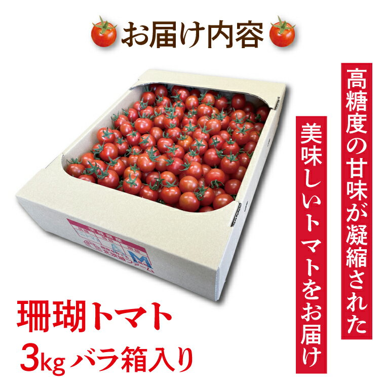 【ふるさと納税】【先行予約】珊瑚トマト　3kg【野菜 トマト とまと ミニトマト みにとまと フルーツトマト 新鮮 リコピン ビタミン】（AX201） - 画像2