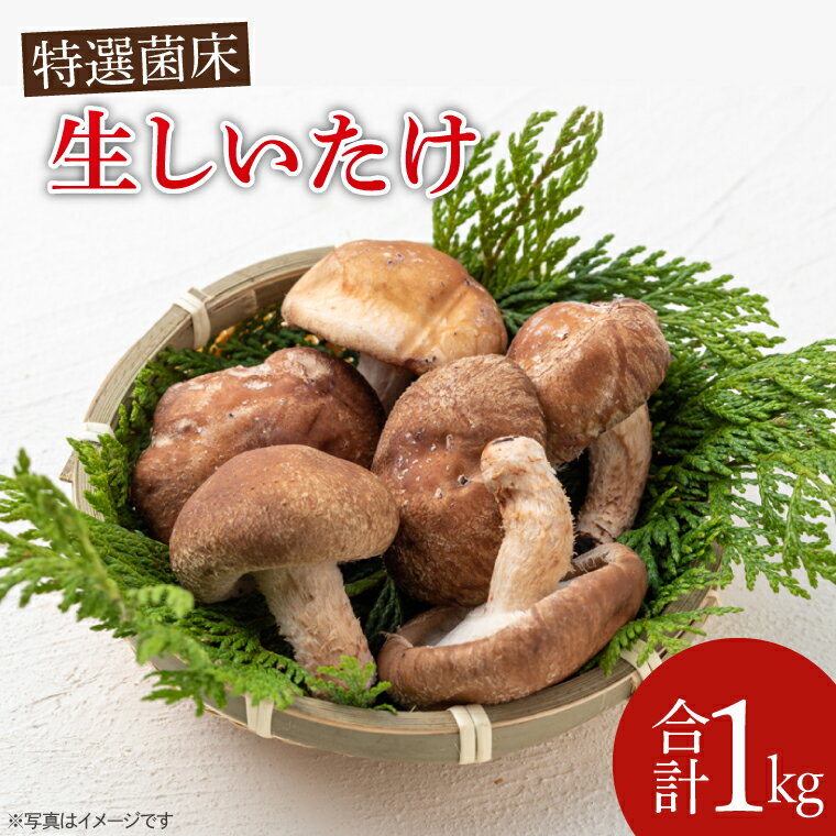 特選菌床生しいたけ1kg【椎茸 シイタケ 肉厚 無農薬】(CE202)