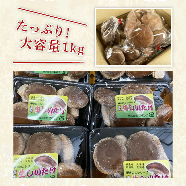 【ふるさと納税】特選菌床生しいたけ1kg【椎茸 シイタケ 肉厚 無農薬】(CE202) - 画像2