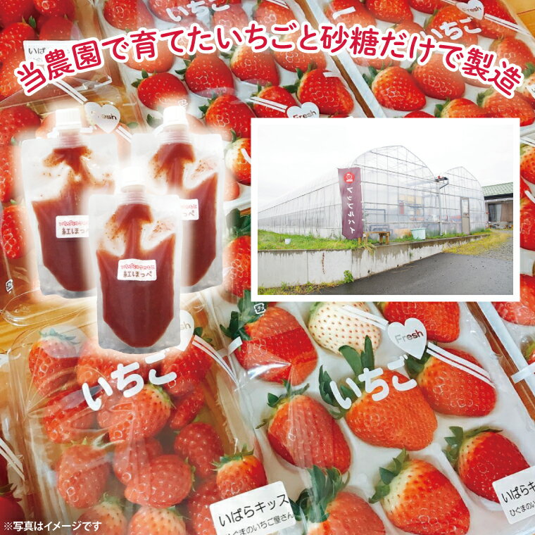 【ふるさと納税】いちごミルクのもと【イチゴ苺ストロベリーおやつ無添加】(CG201) サムネイル3
