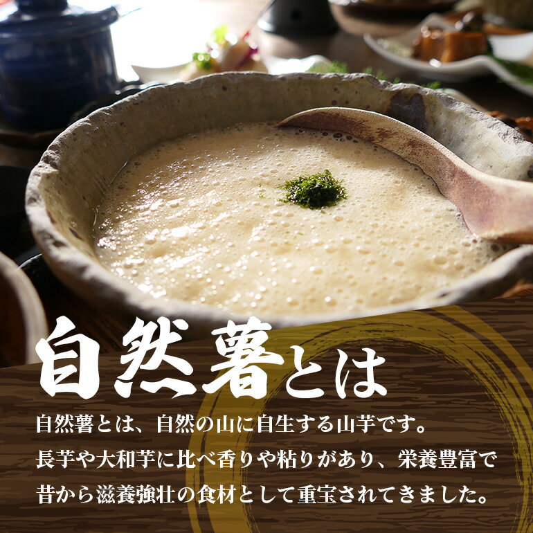 【ふるさと納税】笠間自然薯研究会の自然薯カット 選べる 600g 800g 900g 1kg 自然薯 長芋 山芋 とろろ とろろご飯 野菜 ねばねば 健康食品 美容効果 笠間市産 茨城県産 栄養たっぷり ギフトに最適 新鮮 国内生産 高級根菜 美容 健康 美味しい 産地直送 滋養強壮 - 画像2