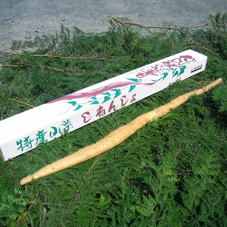 【ふるさと納税】自然薯 約1.1kg エコファーム星山 - 画像2