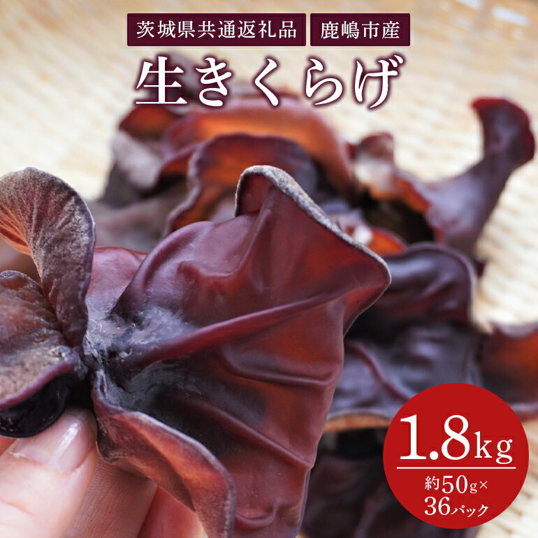 きくらげ 50g×36パック（茨城県共通返礼品・鹿嶋市産）