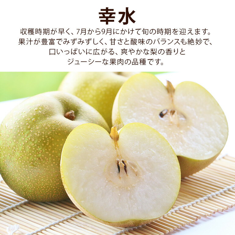 【ふるさと納税】【先行予約】【数量限定】 梨 幸水 3kg 5kg 6～18個入り 大玉 L～5Lサイズ 柴沼梨園 ナシ なし 国産 秋 旬 フルーツ 果物 旬の果物 くだもの サイズ 和梨 品種 幸水梨 産地 茨城県 笠間市 くだもの 果肉 酸味 ギフト 贈答用 家庭用 【8月中旬から発送】 - 画像2