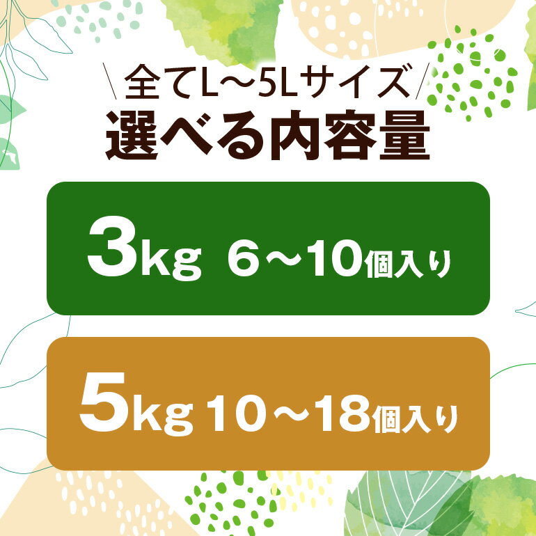 【ふるさと納税】【先行予約】【数量限定】 梨 幸水 3kg 5kg 6～18個入り 大玉 L～5Lサイズ 柴沼梨園 ナシ なし 国産 秋 旬 フルーツ 果物 旬の果物 くだもの サイズ 和梨 品種 幸水梨 産地 茨城県 笠間市 くだもの 果肉 酸味 ギフト 贈答用 家庭用 【8月中旬から発送】 - 画像3