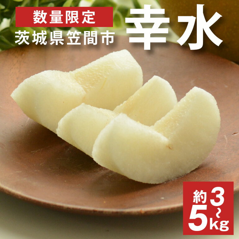 【先行予約】【数量限定】 梨 幸水 3kg 5kg 6～18個入り 大玉 L～5Lサイズ 柴沼梨園 ナシ なし 国産 秋 旬 フルーツ 果物 旬の果物 くだもの サイズ 和梨 品種 幸水梨 産地 茨城県 笠間市 くだもの 果肉 酸味 ギフト 贈答用 家庭用 【8月中旬から発送】