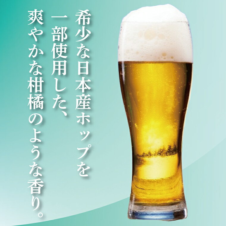 【ふるさと納税】キリンビール取手工場産 スプリングバレージャパンエール〈香〉500ml缶×24本|KIRIN 麒麟 ビール クラフトビール SPRING VALLEY BREWERY 茨城県 取手市（AB017-2） サムネイル3
