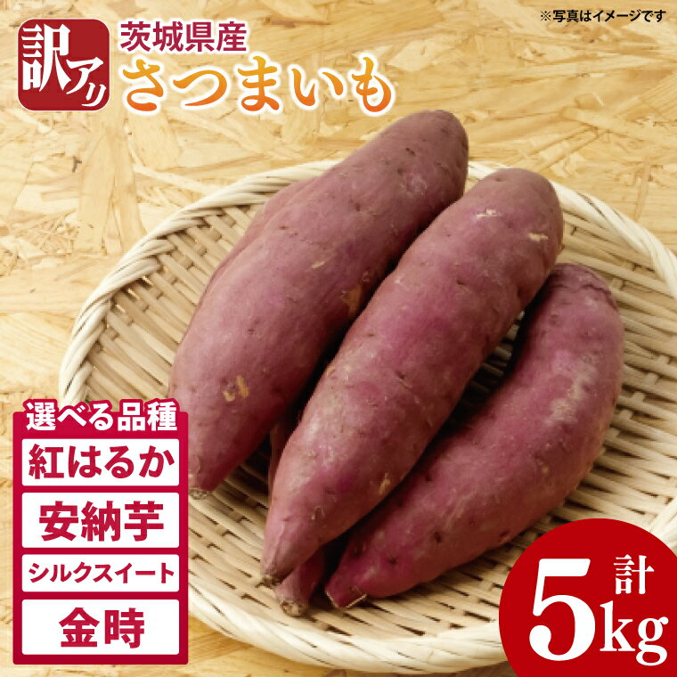 【2026年2月下旬より順次発送】【数量限定】訳アリ 茨城県産紅はるか 約5kg｜さつまいも 芋 サツマイモ 紅はるか 訳あり わけあり 先行予約 茨城県 取手市（AS003-1）