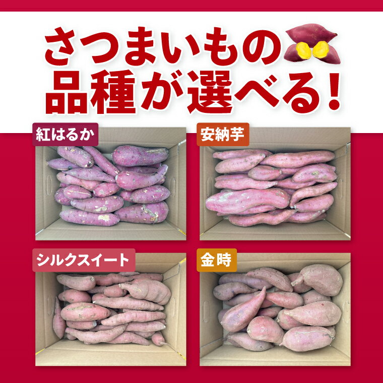 【ふるさと納税】【2026年2月下旬より順次発送】【数量限定】訳アリ 茨城県産紅はるか 約5kg｜さつまいも 芋 サツマイモ 紅はるか 訳あり わけあり 先行予約 茨城県 取手市（AS003-1） - 画像2