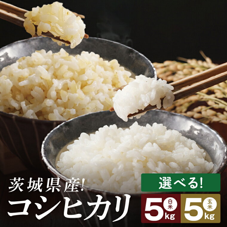 【選べる内容量】コシヒカリ 白米 or 玄米 5kg【茨城県共通返礼品：高萩市】|お米 米 精米 玄米 こしひかり 茨城県 取手市（CB001）