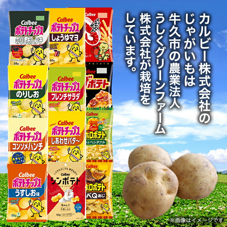 【ふるさと納税】【選べる配送方法】カルビー 湖池屋 人気 詰め合わせ お楽しみ スナック菓子 セット 単品24袋 定期便 3 ・ 6か月 ポテトチップス ポテチ お菓子 おかし 大量 Calbee ポテト じゃがいも 頒布会 数量限定 サムネイル2