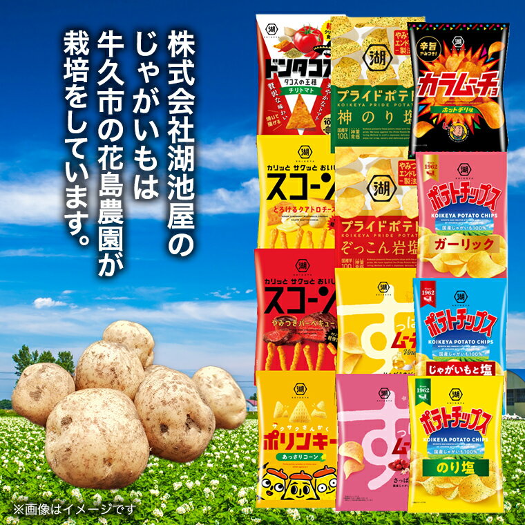【ふるさと納税】【選べる配送方法】カルビー 湖池屋 人気 詰め合わせ お楽しみ スナック菓子 セット 単品24袋 定期便 3 ・ 6か月 ポテトチップス ポテチ お菓子 おかし 大量 Calbee ポテト じゃがいも 頒布会 数量限定 サムネイル3