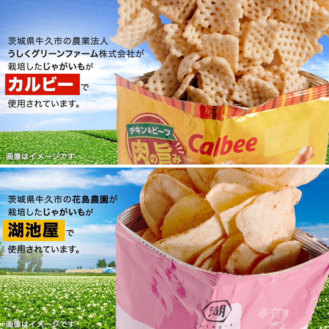 【ふるさと納税】【選べる配送方法】カルビー 湖池屋 人気 詰め合わせ お楽しみ スナック菓子 セット 単品24袋 定期便 3 ・ 6か月 ポテトチップス ポテチ お菓子 おかし 大量 Calbee ポテト じゃがいも 頒布会 数量限定 - 画像3