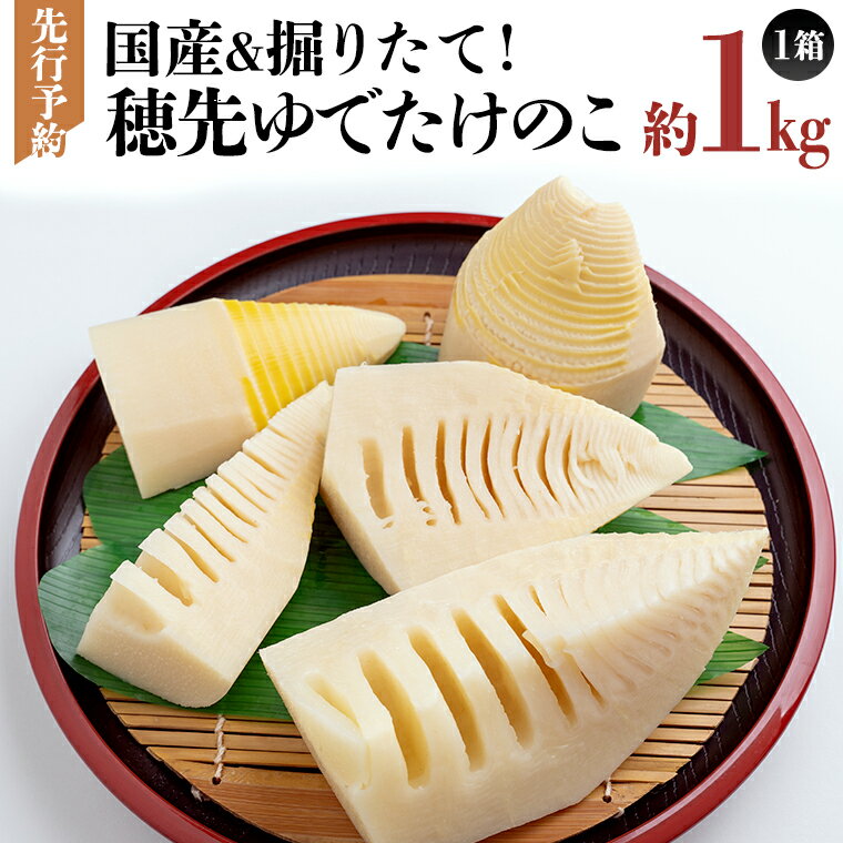 《 先行予約 》 掘りたて 穂先 ゆでたけのこ 約1kg 【 2026年 4月中旬 以降発送 】 野菜 春 旬 期間限定 数量限定 国産 産地直送 箱 真空パック 個包装 茹で 筍 タケノコ 竹の子